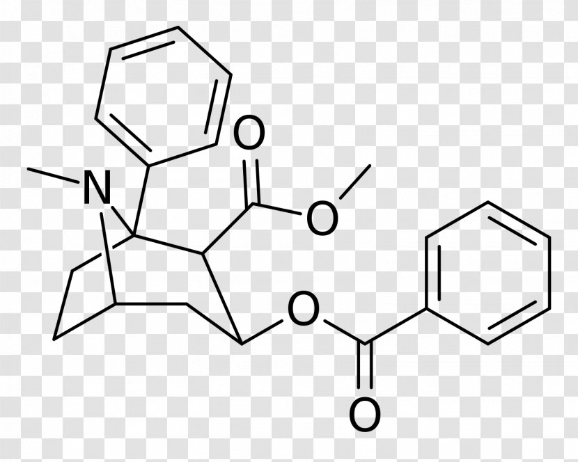 Dipicolinic Acid Carboxylic P-Toluenesulfonic Chemistry - Text - Amine Transparent PNG