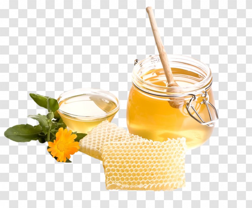 Honey Bee Honeycomb - Sweetness Transparent PNG
