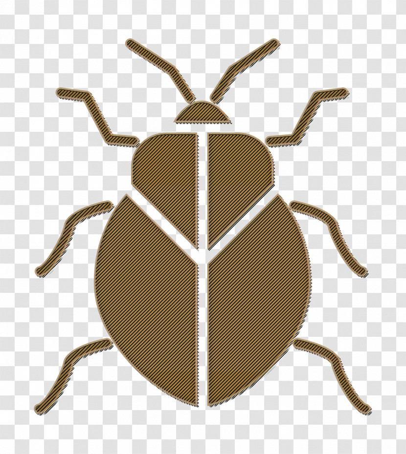 Bug Icon Stink Bug Icon Insects Icon Transparent PNG