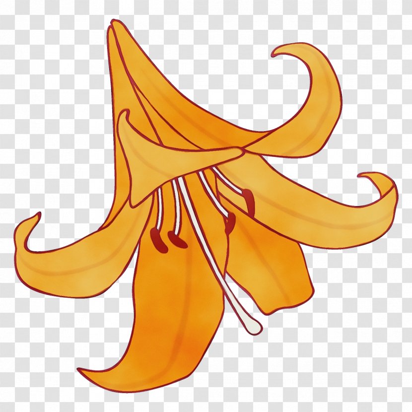 Yellow Canada Lily Plant Clip Art - Watercolor Transparent PNG