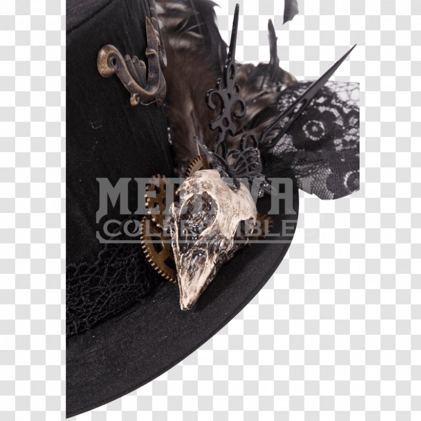 Top Hat Steampunk Feather Gear Transparent PNG