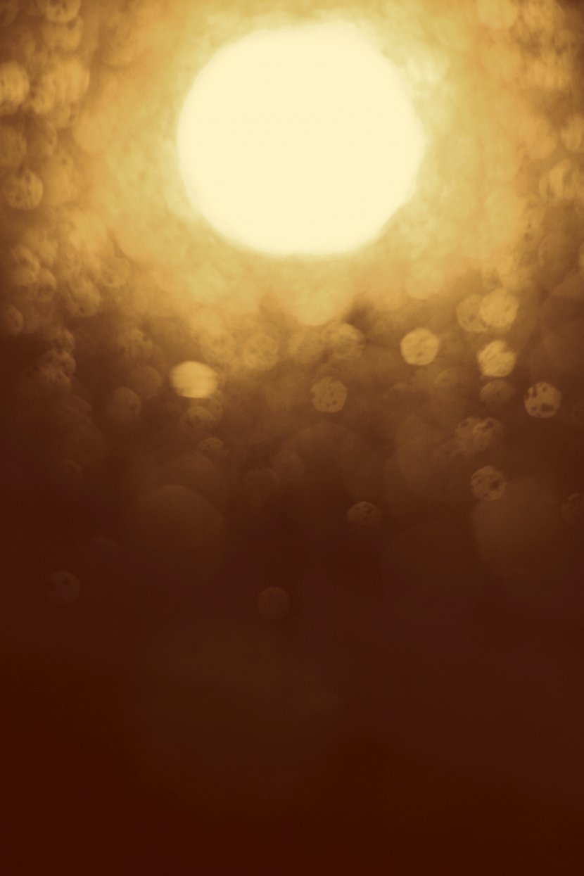 Golden Sun,Sequin - Phenomenon - Color Transparent PNG