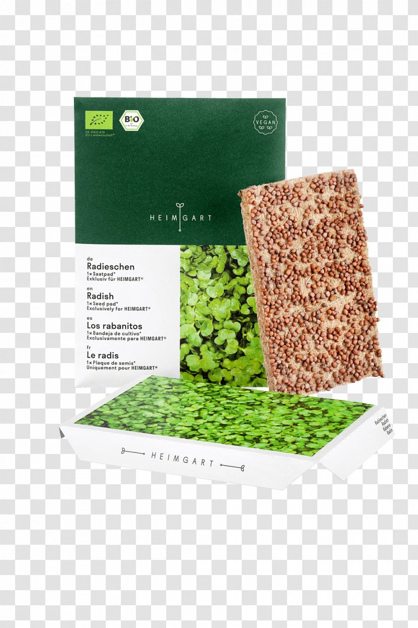 Microgreen Garden Radish Seed Arugula Lettuce - Gar Transparent PNG