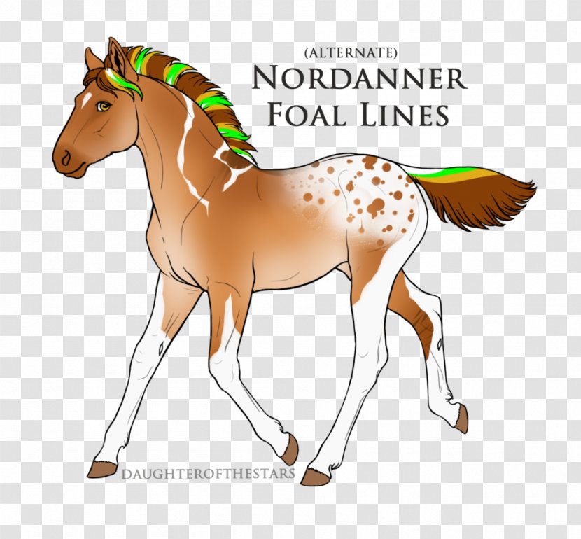 Mane Mustang Foal Stallion Mare - Bridle Transparent PNG