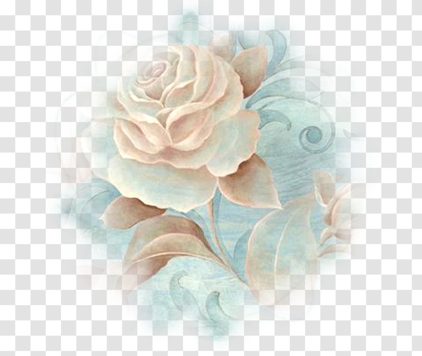 Cabbage Rose Garden Roses Birthday Gift Petal Transparent PNG