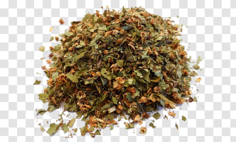 Tea Medicinal Plants Herbalism Infusion - Myrtle Transparent PNG