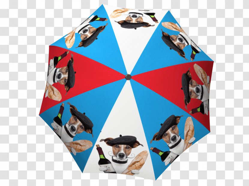 La Bella Umbrella Gift Shop - Souvenir - Creative Transparent PNG