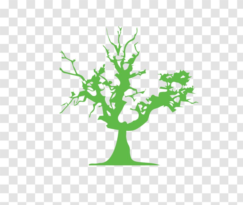 Tree Euclidean Vector Arecaceae Clip Art - Leaf - Green Branch Bush Trees Transparent PNG