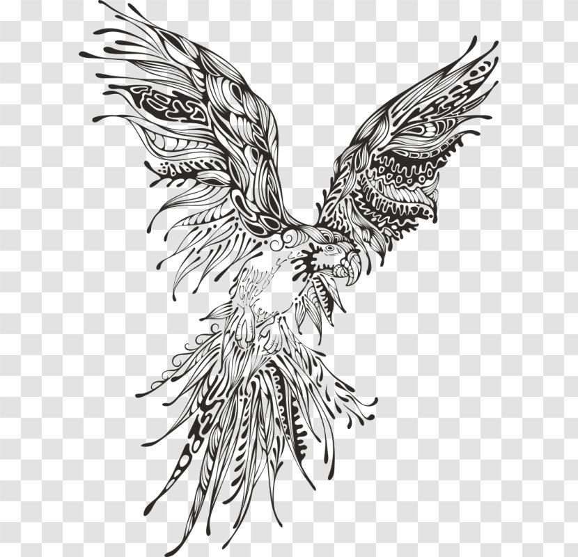 Parrot Bird Drawing - Eagle Transparent PNG