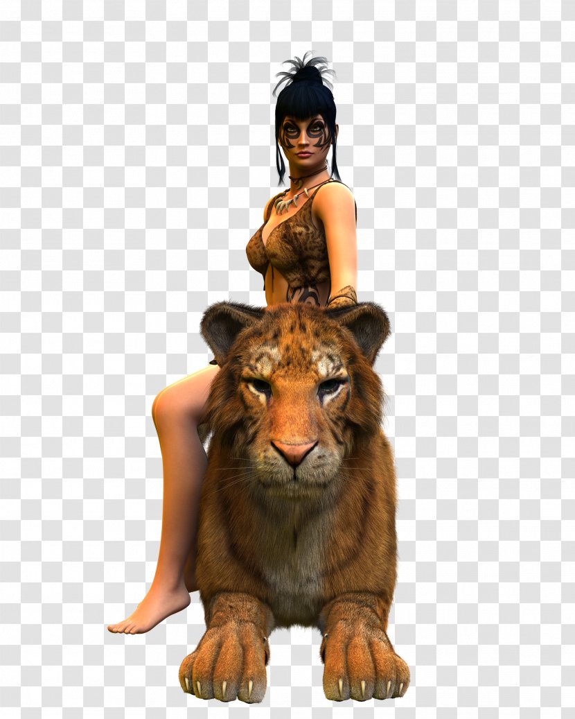 Tiger Lion Woman - Photography - Beauty And The Beast Transparent PNG
