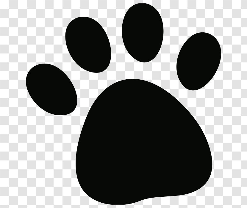 Cat Calling All Paws Pet Grooming Dog - Whiskers - Oval Transparent PNG
