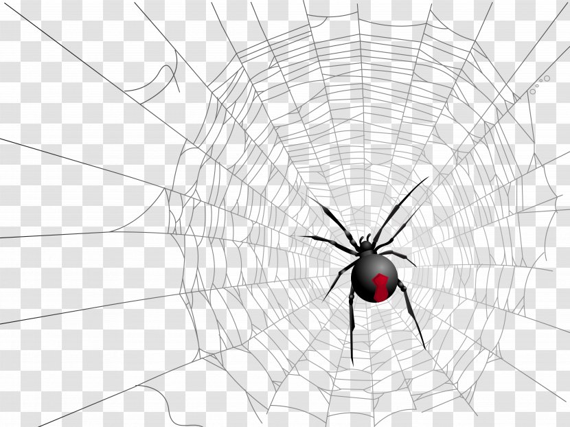 Widow Spiders Insect Symmetry Pattern - Black And White - Halloween Transparent Net Spider Picture Transparent PNG