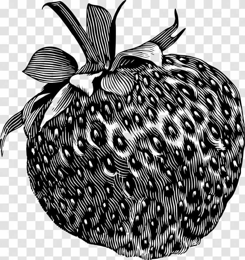 Strawberry Drawing Fruit Clip Art - Food Transparent PNG