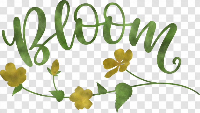 Bloom Spring Flower Transparent PNG