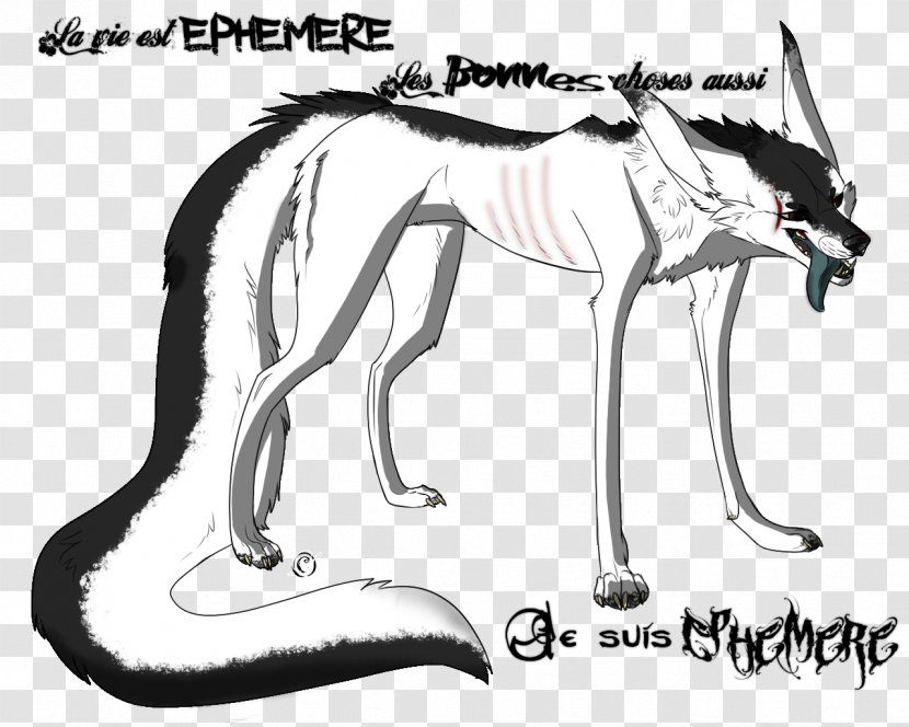 Dog Line Art Mustang Drawing /m/02csf - Cartoon Transparent PNG