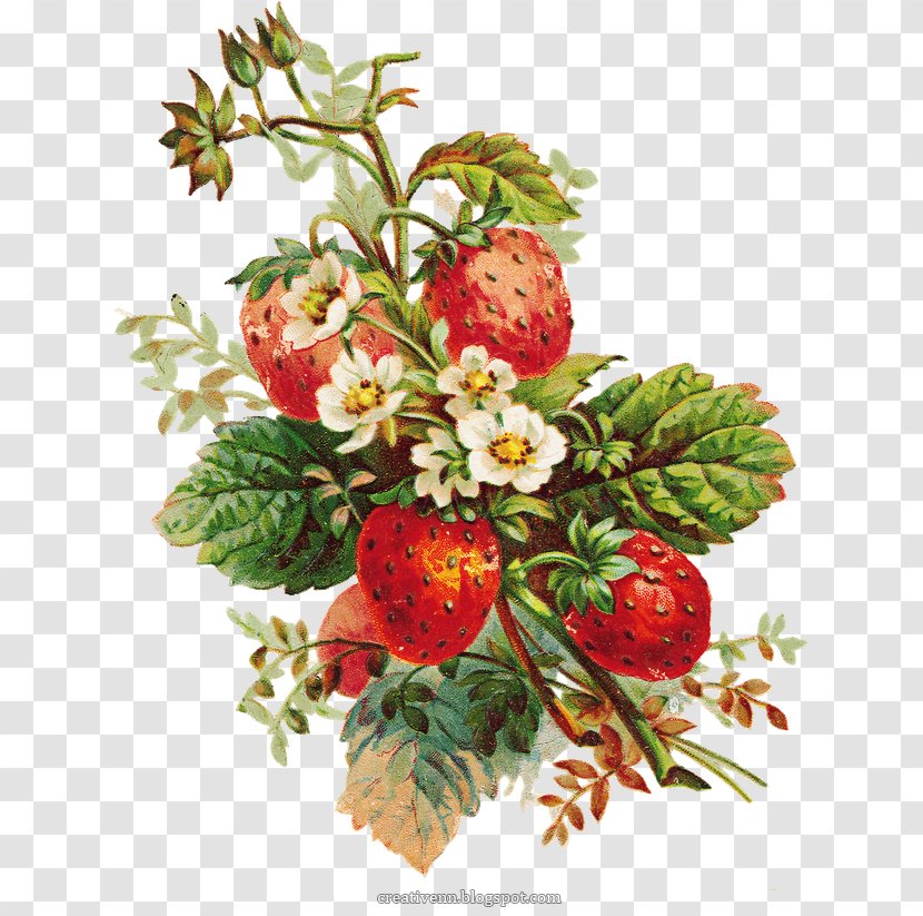 Floral Design Strawberry Pie Clip Art - Drawing Transparent PNG
