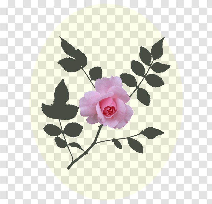 Rose Pink Clip Art - Flower Transparent PNG