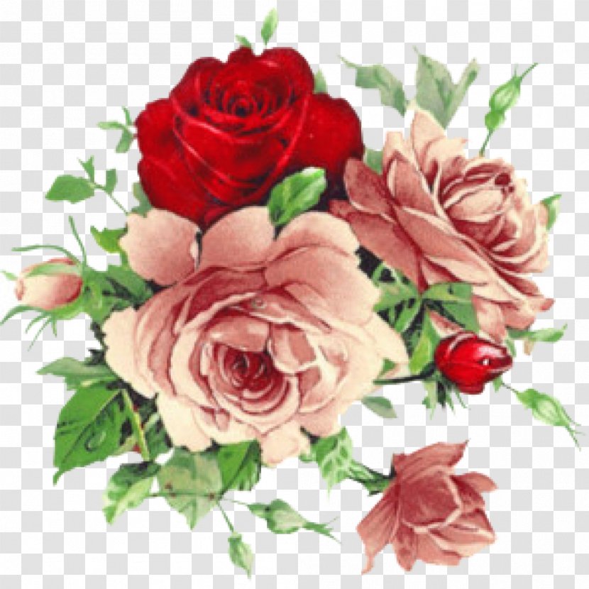Vintage Roses: Beautiful Varieties For Home And Garden Flower Clip Art - Banquet Transparent PNG