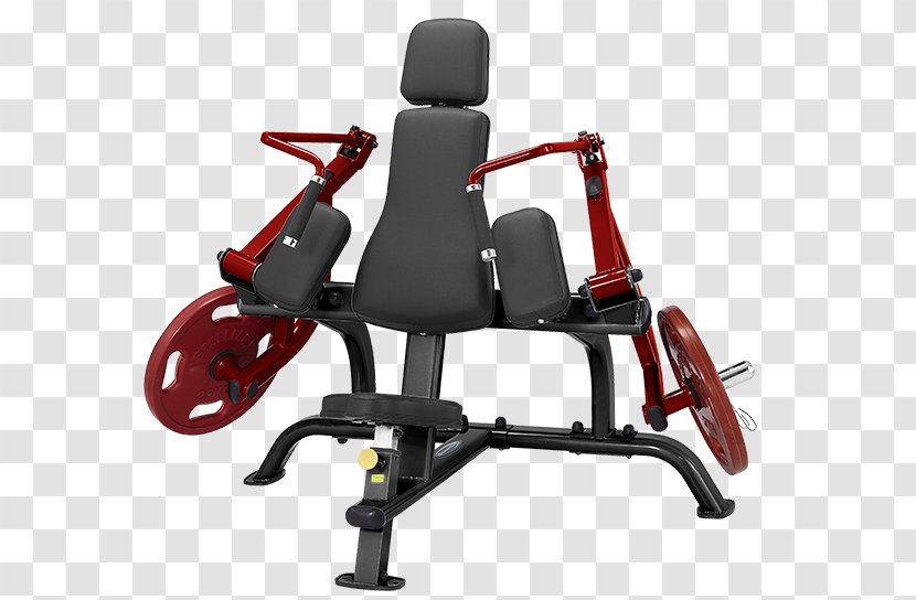 Triceps Brachii Muscle Lying Extensions Exercise Machine Biceps Curl - Office Chair - Bodybuilding Transparent PNG