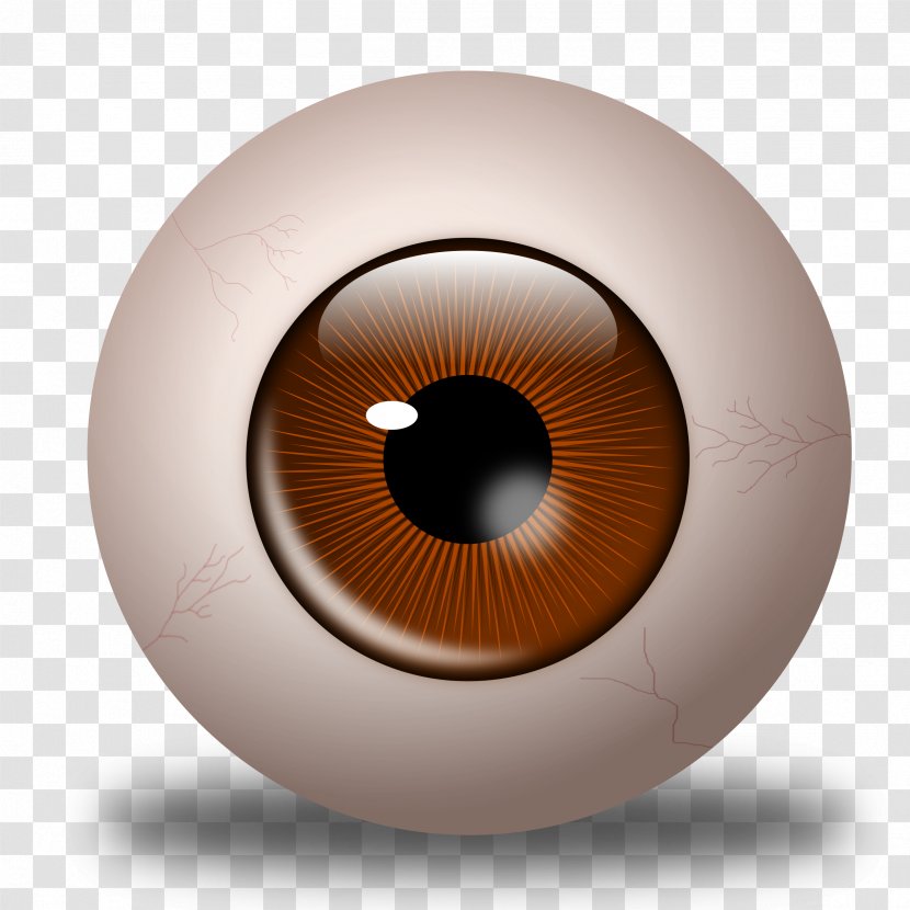 Eye Iris Clip Art - Frame Transparent PNG