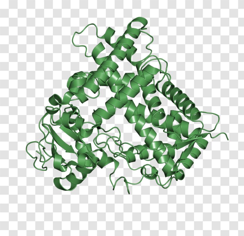 Tree Font - Organism Transparent PNG