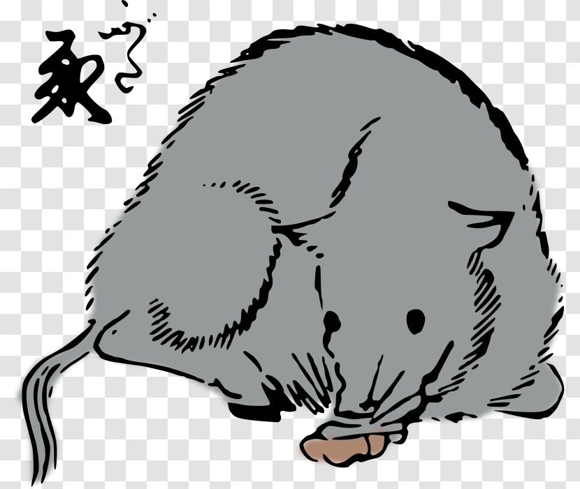 Rat Mouse Whiskers Cat Clip Art - Dog Like Mammal Transparent PNG