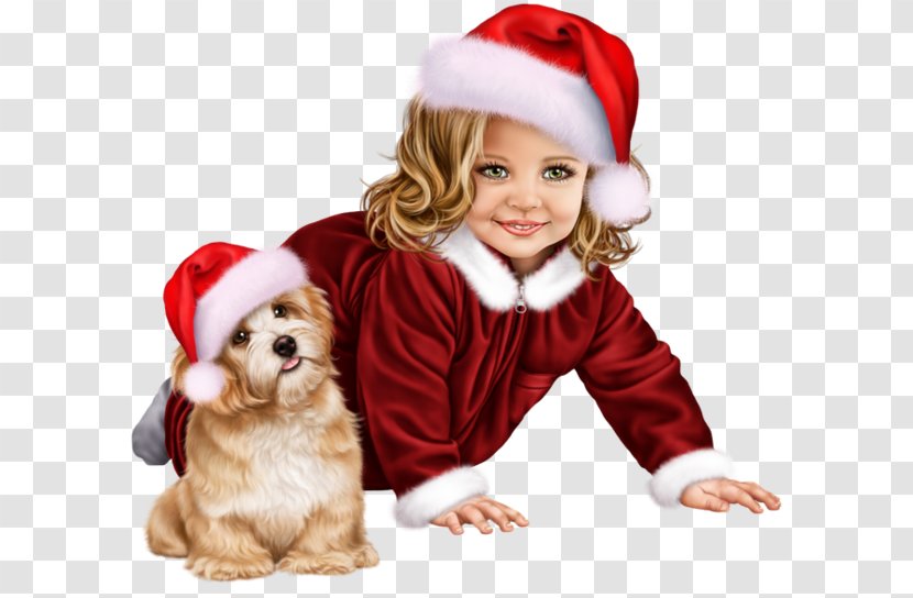 Christmas Santa Claus - Dog - Toy Havanese Transparent PNG