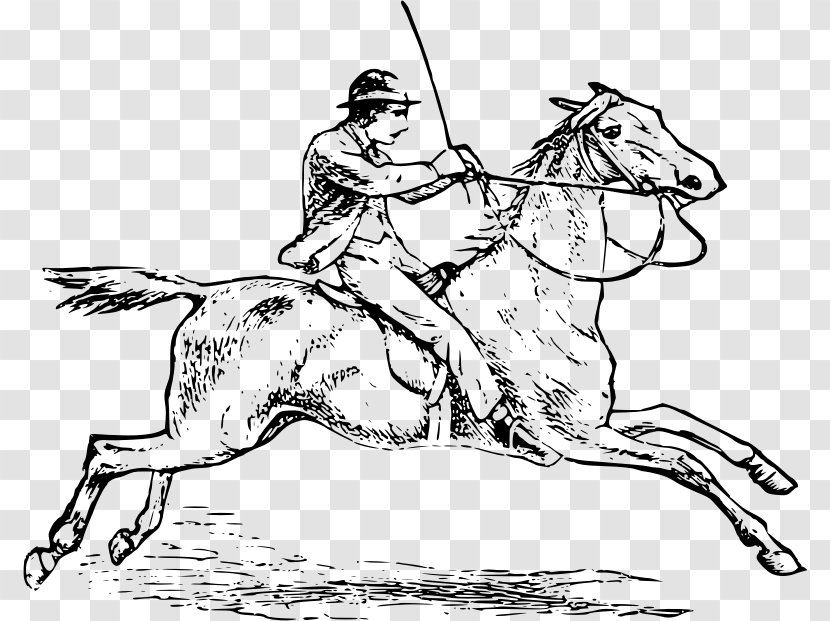 Horse Equestrian Stallion Show Jumping Clip Art - English Riding Transparent PNG