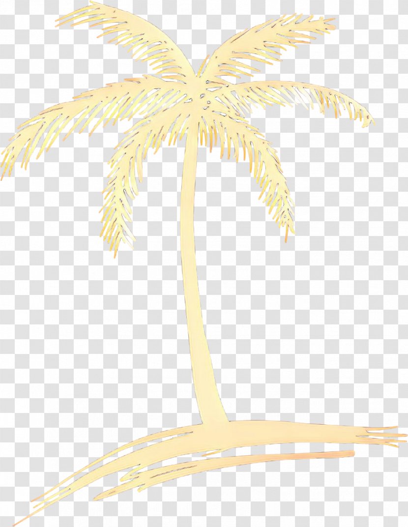 Date Tree Leaf - Palm Sunday - Plant Arecales Transparent PNG