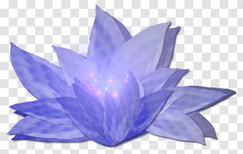 The Forbidden Wish Flower Nelumbo Nucifera Clip Art - Water Lilies Combination Transparent PNG