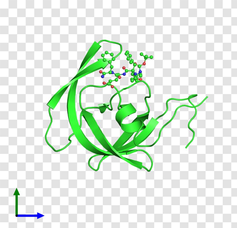 Technology Leaf Clip Art - Organism Transparent PNG
