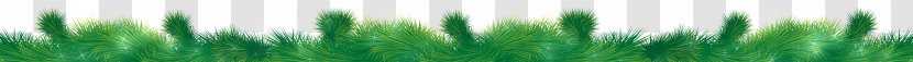 Close-up Computer Wallpaper - Grass - Pine Green With Glow Transparent PNG