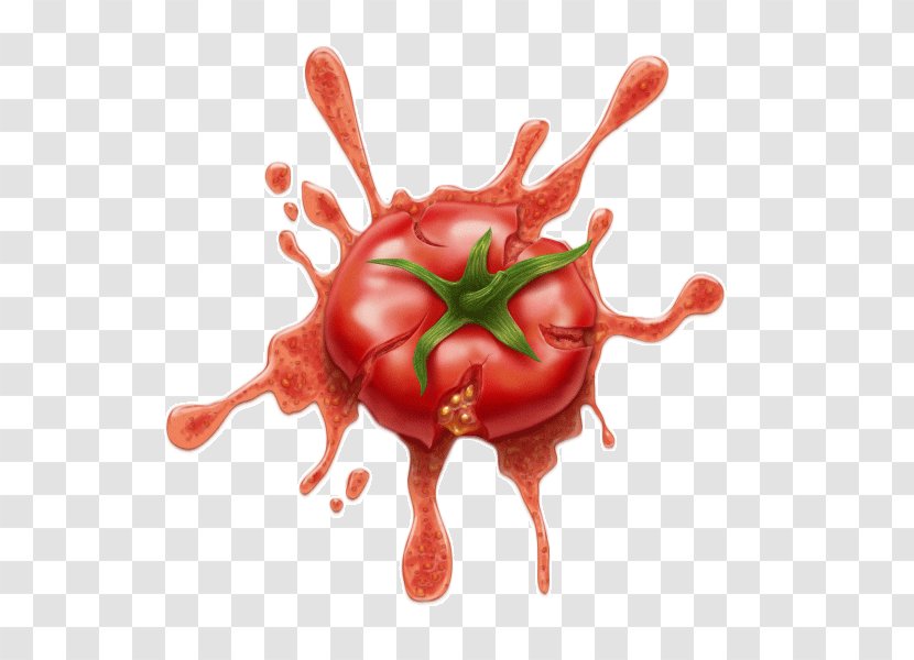 Explosion Of The Tomatoes - Flower - Frame Transparent PNG