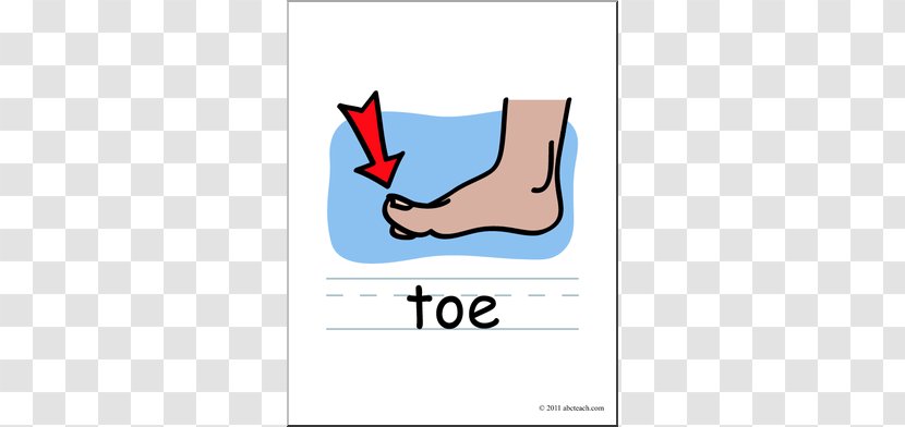 Toe Foot Clip Art - Tree - Cliparts Transparent PNG