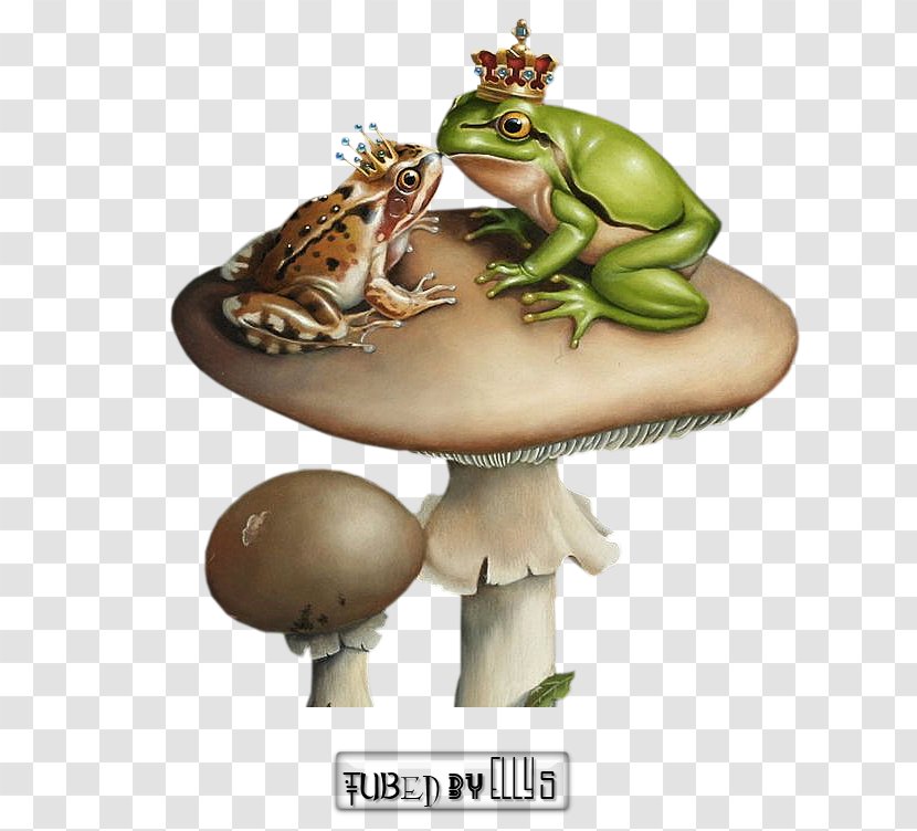 True Frog Life Cycle Toad Tree - Fauna Transparent PNG