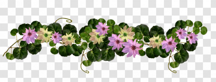 Flower - Comparazione Di File Grafici - Plant Transparent PNG