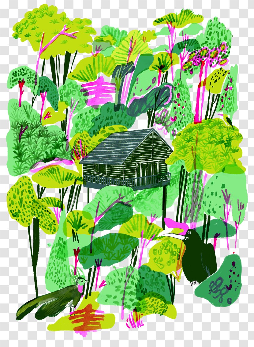 Illustration Drawing Clip Art Image Illustrator - Jungle Transparent PNG