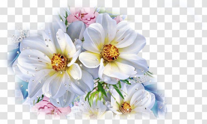 Floral Design Cut Flowers Flower Bouquet Dahlia - Petal Transparent PNG
