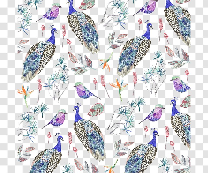 Bird Pattern - Fauna - Cartoon Peacock Background Transparent PNG