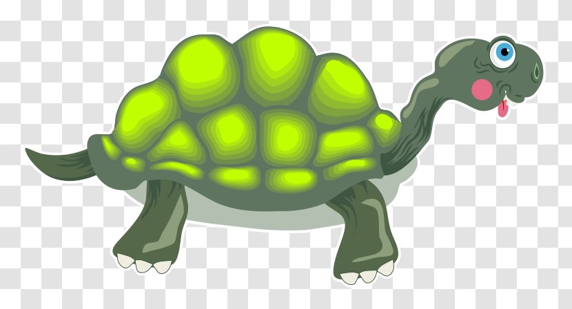 Turtle Tortoise Drawing Clip Art - Fauna Transparent PNG