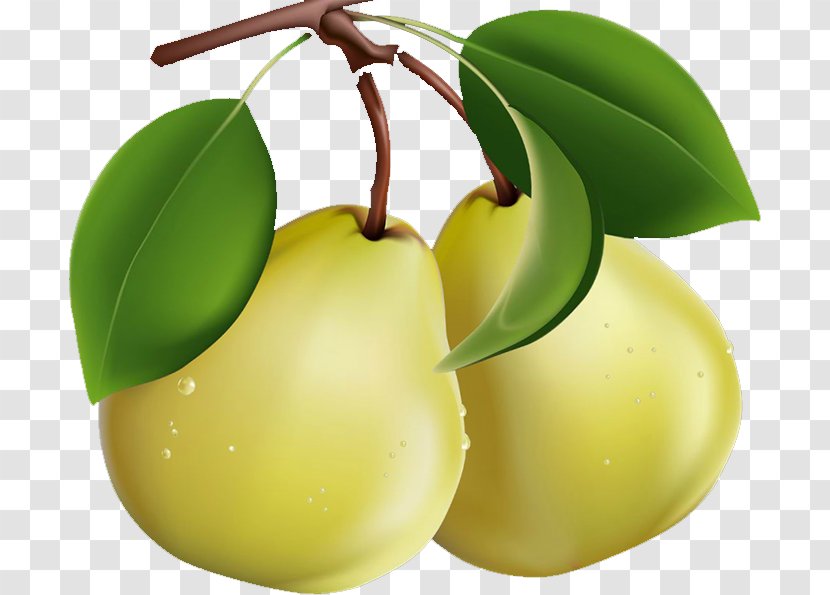 Pear Clip Art Transparent PNG