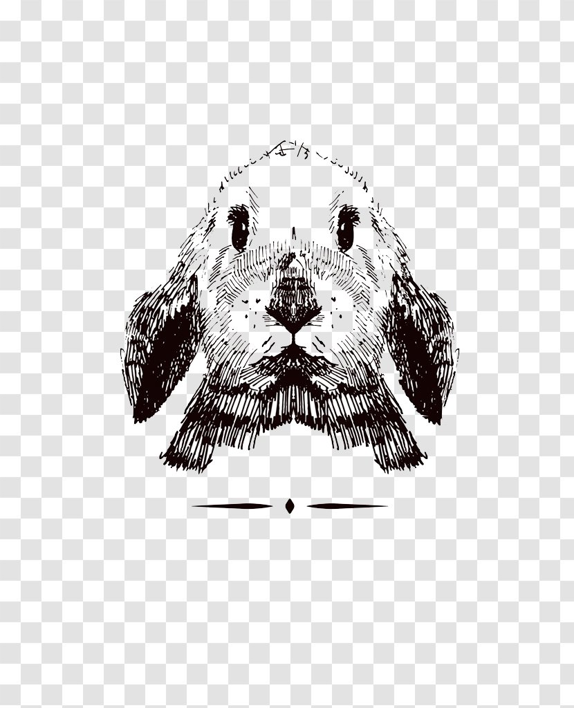 Dalmatian Dog Drawing - Template - Sketch Rabbit Transparent PNG