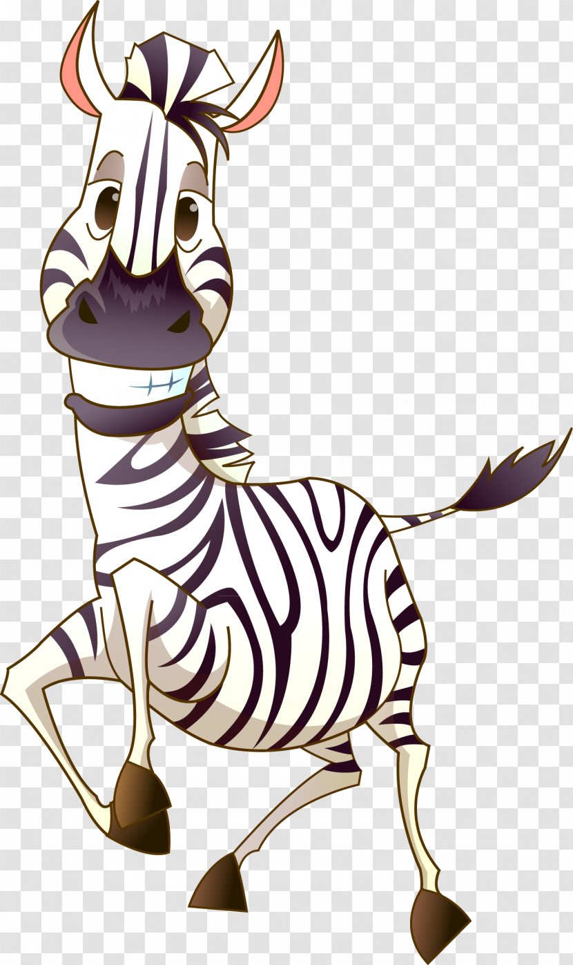 Zebra Photography Clip Art - Giraffe - Funny Transparent PNG