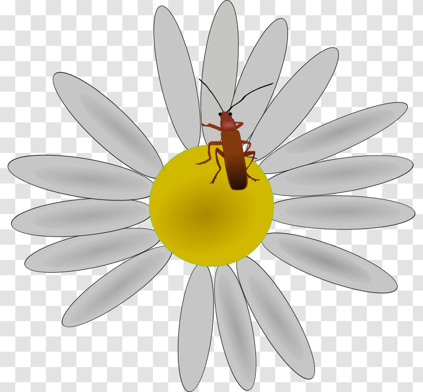 Flower Insect Petal Clip Art - Bugs Transparent PNG