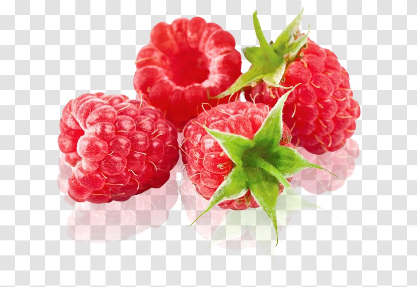 Raspberry Organic Food Fruit Boysenberry Transparent PNG