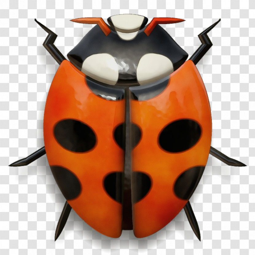 Orange Transparent PNG