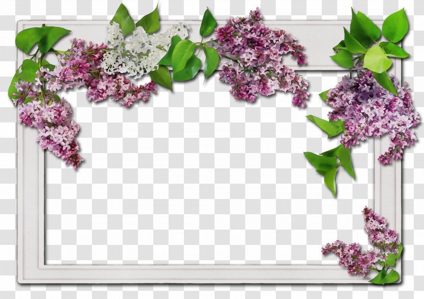 White Photo Frame - Purple - Picture Plant Transparent PNG