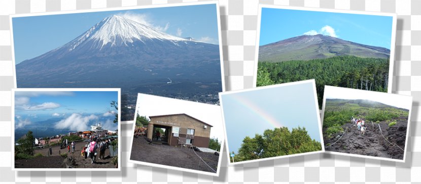 Mount Fuji Tourism Cherry Blossom Shinto Shrine 観光協会 - Land Lot - Mt Transparent PNG