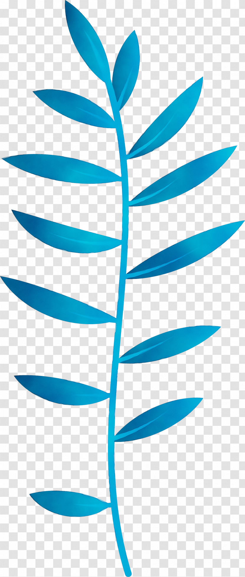Plant Stem Leaf Angle Line Teal Transparent PNG