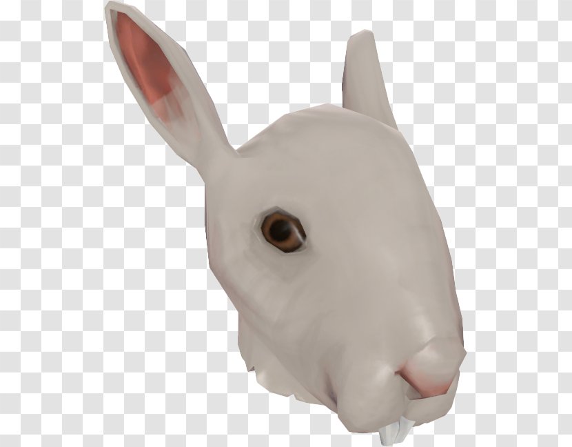 Domestic Rabbit Snout Nose Transparent PNG
